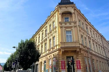 STEYR ZENTRUM: wunderschöne Galerie-Wohnung