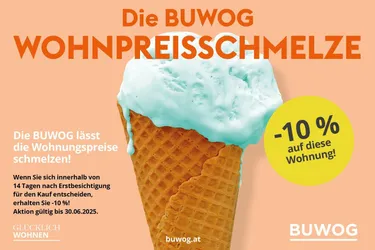 -10% BUWOG WOHNPREISSCHMELZE! PROVISIONSFREI! UNSANIERTE 3-ZIMMER WOHNUNG MIT BALKON AM REBENWEG!