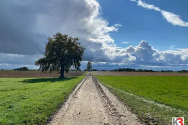 K3 - Nähe Bad Füssing - alter 4 - Seitenhof mit ca. 15 ha bestem ertragreichen Ackerboden!!! PANORAMALAGE