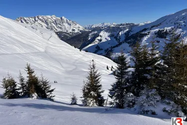K3 - Herrlicher Ausblick garantiert! GANZJAHRESBETRIEB inklusive BETREIBERWOHNUNG im paradisisch schönen Hochkönig-Gebiet!