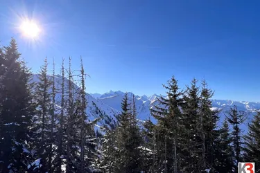 K3 - Herrlicher Ausblick garantiert! GANZJAHRESBETRIEB inklusive BETREIBERWOHNUNG im paradisisch schönen Hochkönig-Gebiet!