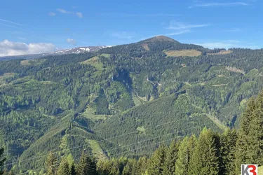 K3 - NEU: EIGENJAGD - KÄRNTEN