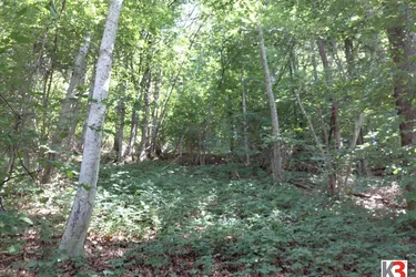 Waldparzelle mit Wasserquelle zu verkaufen