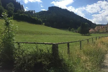 ++ 1.400 m² Gewerbe - Betriebsbaugrund-, Garagengrundstück ++