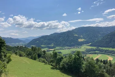 *** GRUNDSTÜCK GESUCHT? - mehrmädig und ideal für Viehtrieb ***