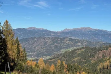 57 ha Wald mit hohem Altholzbestand