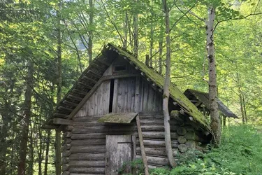 33 ha Naturidylle – Waldbesitz mit Fischteich und Hütte