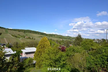 Kleingarten-Pachtgrundstück in Top Grün-Ruhelage mit Weinbergblick! Angebotsverfahren!