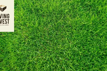 Schöner Wohnen im Mühlviertel – preiswertes Grundstück nahe Ulrichsberg