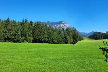 Grundstück mit Haus "Wohnen wie auf der Alm" für Erwerb keine landwirtschaftliche Ausbildung nötig