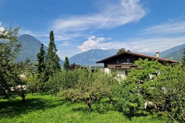 Wohnhaus mit großem Grundstück und viel Potential