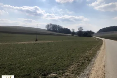 landwirtschaftliche Nutzfläche, Ackerfläche in Renetsham nahe Ried im Innkreis zu verkaufen
