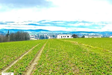 sonniges Baugrundstück mit Panoramablick über Ried i.I. in Ruhelage