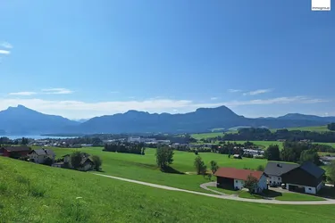 1,7 Hektar Areal im Mondseeland zu verkaufen!