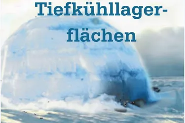 Expose Landeck: Gewerbliche Tiefkühllager (Hochlager) zu vermieten (bis zu 1.500 m²)