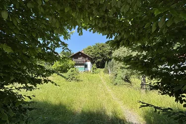 SCHULTZ IMMOBILIEN - Traumhaftes Baugrundstück in Mauerbach – 1.771 m² für Ihr Eigenheim!
