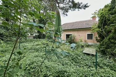 Schönes Doppel-Eckgrundstück mit Eigengarten und viel Potential