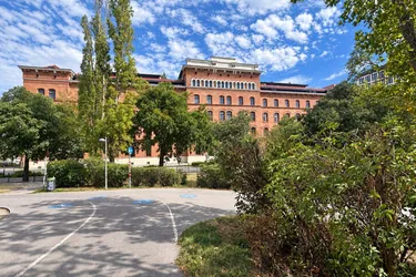 "DAS ARTMANN" Urban * Am Fluss * Beim Park