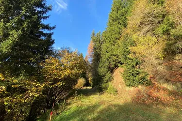 Schönes Waldgrundstück oberhalb des Millstätter Sees