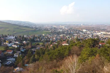 Über den Dächern - mit Weitblick auf Klosterneuburg