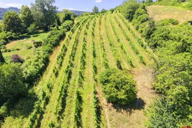 Großzügiges Grundstück mit Weitblick