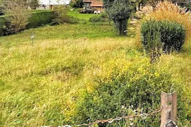 SEHR RUHIGE LAGE - Grundstück in leichter Hanglage am Fuße des Rosenbergs!