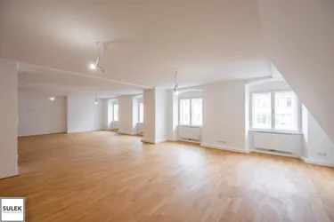 Blick zum Stephansdom: 3-Zimmer-Wohnung mit großem Wohnsalon in Toplage