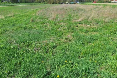 Grünes Paradies zum Kaufen: Landwirtschaft in Niederösterreich