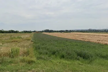 Großzügige Gewerbefläche in Antau: 24.561 m² für VB 1,2 Mio. €