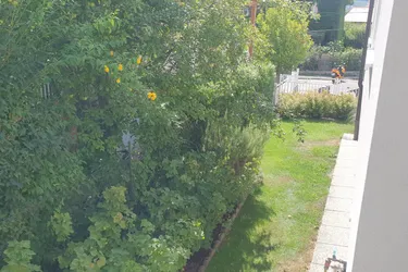 Traumwohnung mit Terrasse und Garten zur Miete