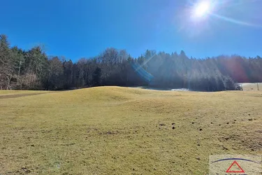 Einzigartiges Grundstück am Waldrand: Naturparadies mit Baugrund!