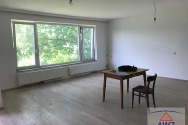 Älterer Bungalow in Wiennähe mit toller Öffianbindung