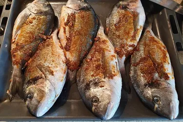 Fischzuchtanlage zu verkaufen!