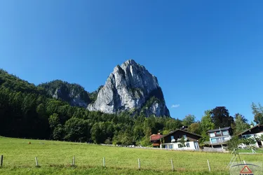 Wiesen mit angrenzender Waldfläche! 
