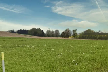 Expose Idyllisches Eigenheim: Traumgrundstück in 4714 Meggenhofen!
