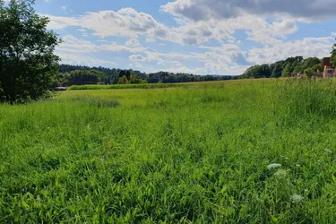 Baugrundstück mit 3.000 m² in sonniger Lage!