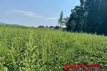 Baugrund mit Potenzial in Klagenfurt-Wölfnitz