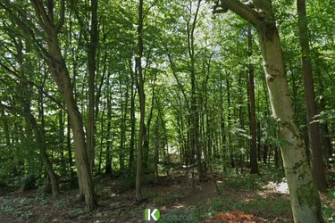 Herrliche Waldlage! Grundstück nahe Gablitz am Riederberg