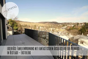 Großzügige Familienwohnung mit fantastischem Ausblick auf die Weinberge in Bestlage - Erstbezug!