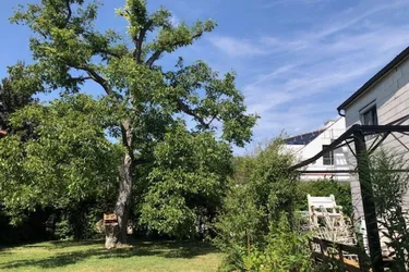 !!! LIESING/Alterlaa - 230m² Wohnfläche auf 840m² Grund mit Doppelgarage!!!