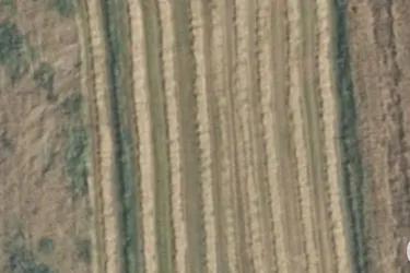 landwirtschaftlich genutzte Grundflächen