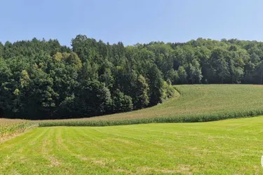 Ackerfläche von 8,8ha zu verkaufen