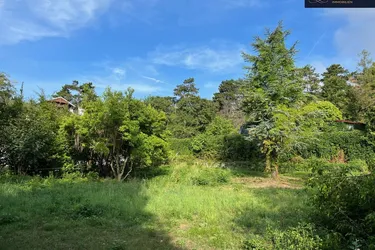 Sonniges Baugrundstück in zentraler Lage