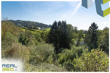 Idyllisches Hanggrundstück mit 8.500 m², nur 13min von Linz entfernt!