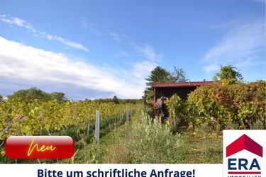 Neuer Preis: Wien KAUF - Reizendes Tinyhaus am Bisamberg