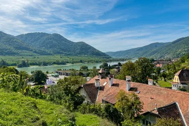 ZWISCHEN WEINGARTEN UND DONAU — BAUREIF / 23 Wohneinheiten, denkmalgeschützt, baubewilligt