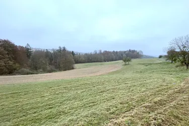 Großzügige landwirtschaftliche Flächen