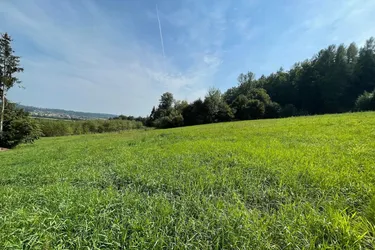 Traumhaftes Grundstück mit Fernblick