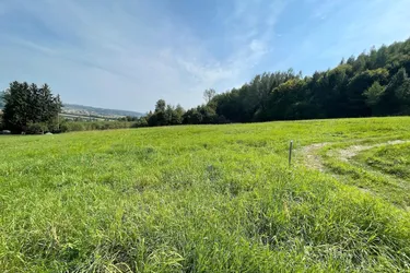 Idyllische Grundstücke in ruhiger Ortsrandlage