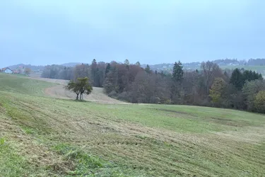 Zusammenhängende Grundstücksflächen für landwirtschaftliche Nutzung